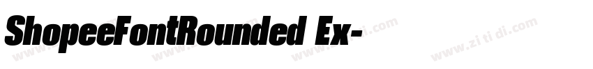 ShopeeFontRounded Ex字体转换